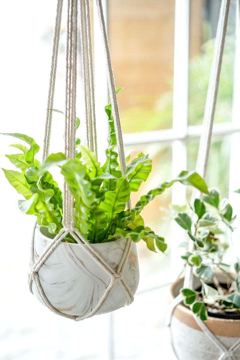 Dahey Macrame Plant Hanger Set of 3 with Hooks Indoor Hanging Planter Basket 35"/29"/23" Handmade Woven Cotton Rope Flower Pot Crochet Plant Holder Stand for Boho Home Decor No Tassels,Beige - Image 4